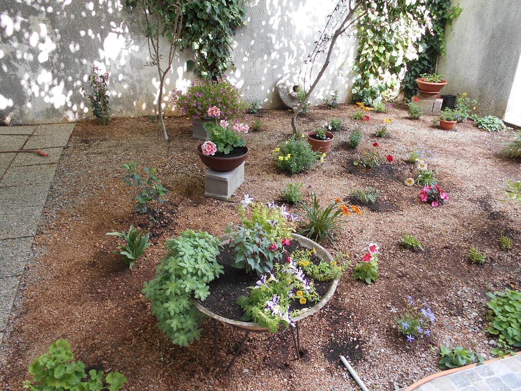Apartments U Kapetana Punat Dış mekan fotoğraf
